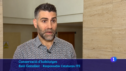🎥 L’Informatiu de RTVE amb Catalunya ITE